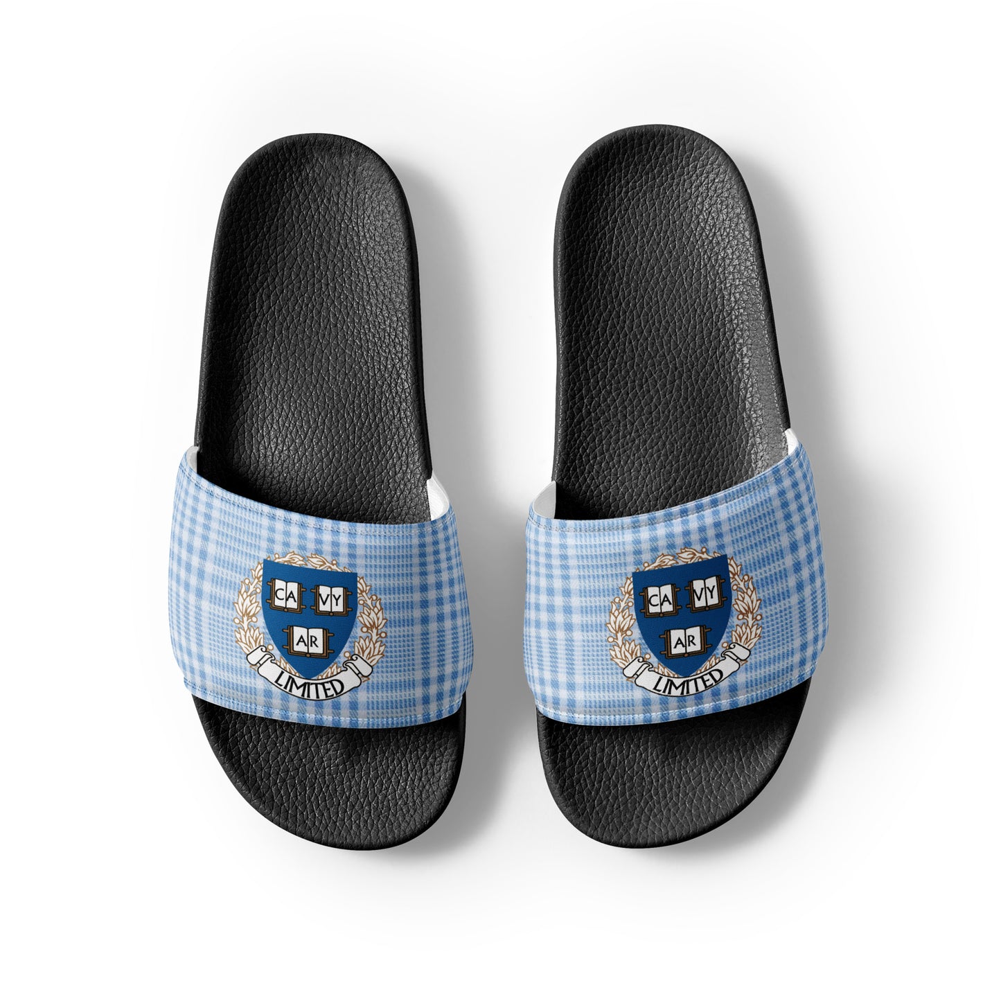 Cavyar Ltd. Blue Plaid Men’s slides